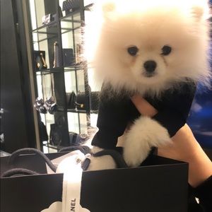 Meet your Posher, Jane